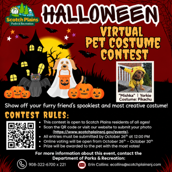 Virtual Pet Costume Contest