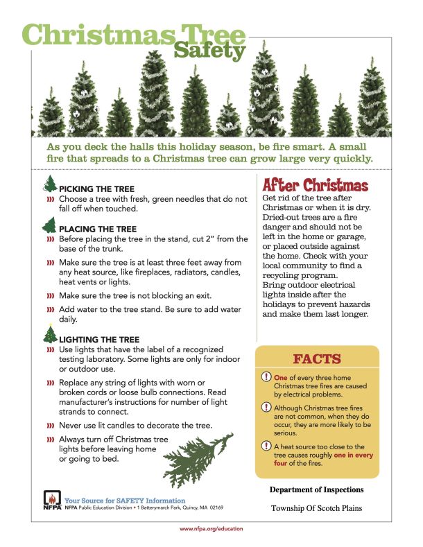 Christmas Tree Safety