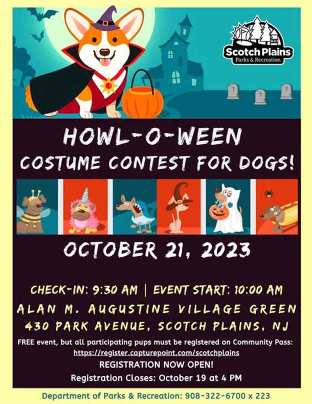 CANCELLED - Costume Contest