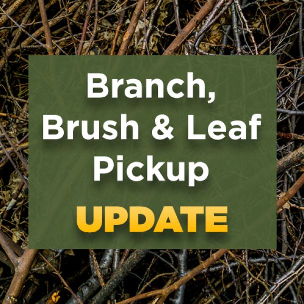 Township of Scotch Plains, NJ Branch, Brush and Leaf Pickup