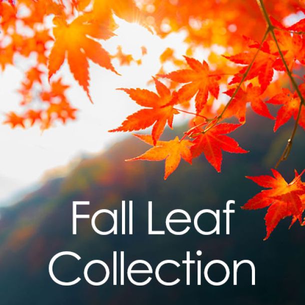 Leaf Collection