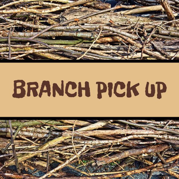 Branch Pick Up